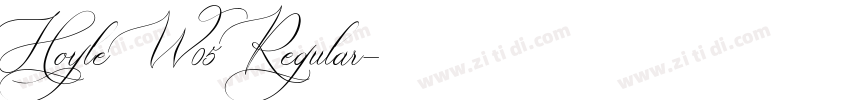 Hoyle W05 Regular字体转换